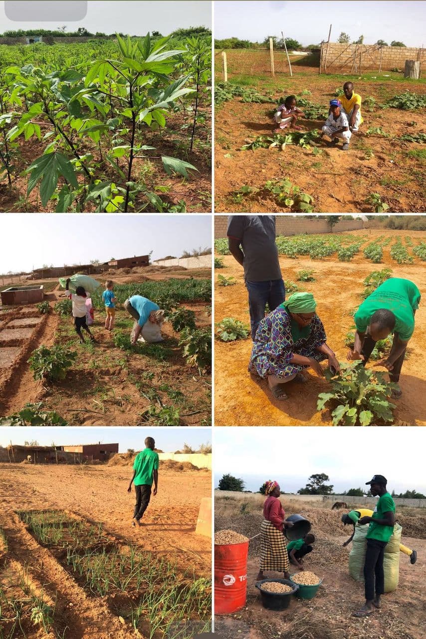 Réseau des Fermes Rurales AgroÉcoTouristiques du Sénégal