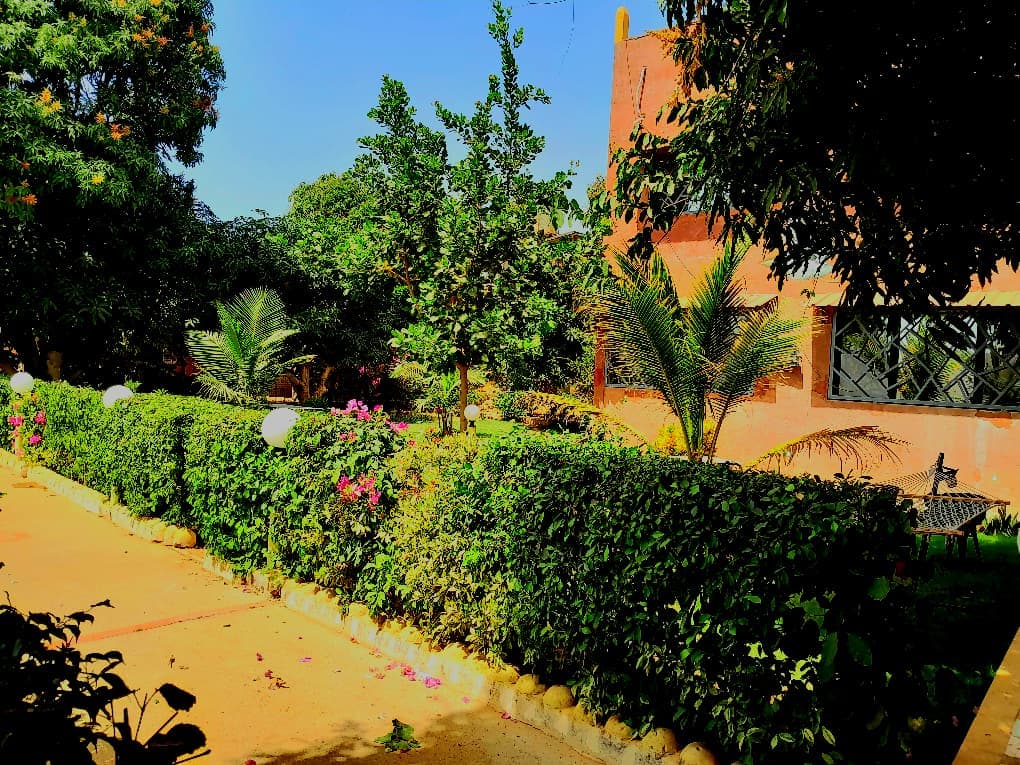 Blog Tourisme Durable - Végétation luxuriante du Sénégal